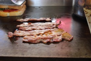 Grilled Cheese Mania Food Truck Harrisonburg VA