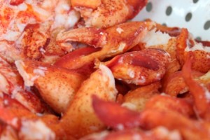 Lobsta Rollin Food Truck, Harrisonburg, VA