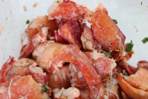 Lobsta Rollin Food Truck, Harrisonburg, VA