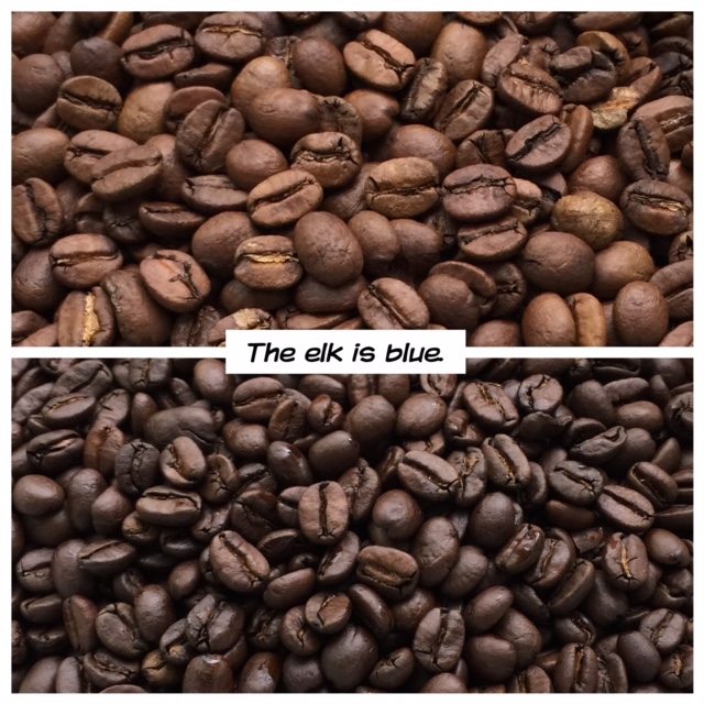 Blue Elk Coffee Company, Elkton, Virginia