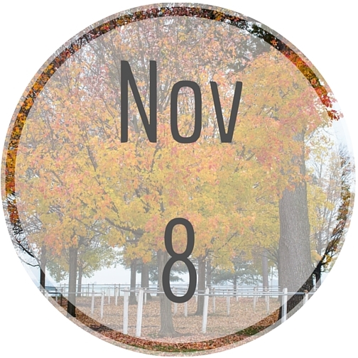 Nov8 Nov8
