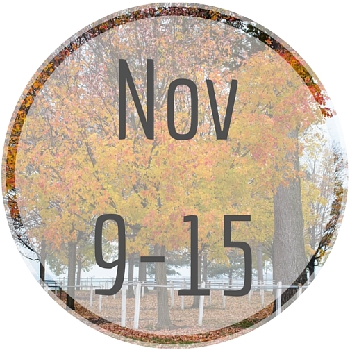 Nov9 Nov9