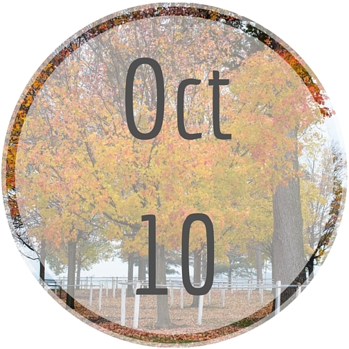Oct10 Oct10