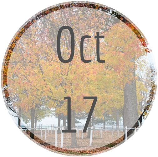 Oct17 Oct17