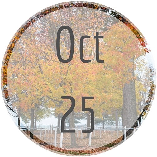 Oct25 Oct25