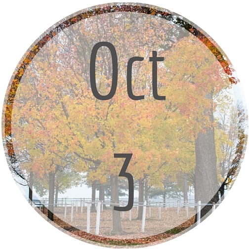 Oct3 Oct3