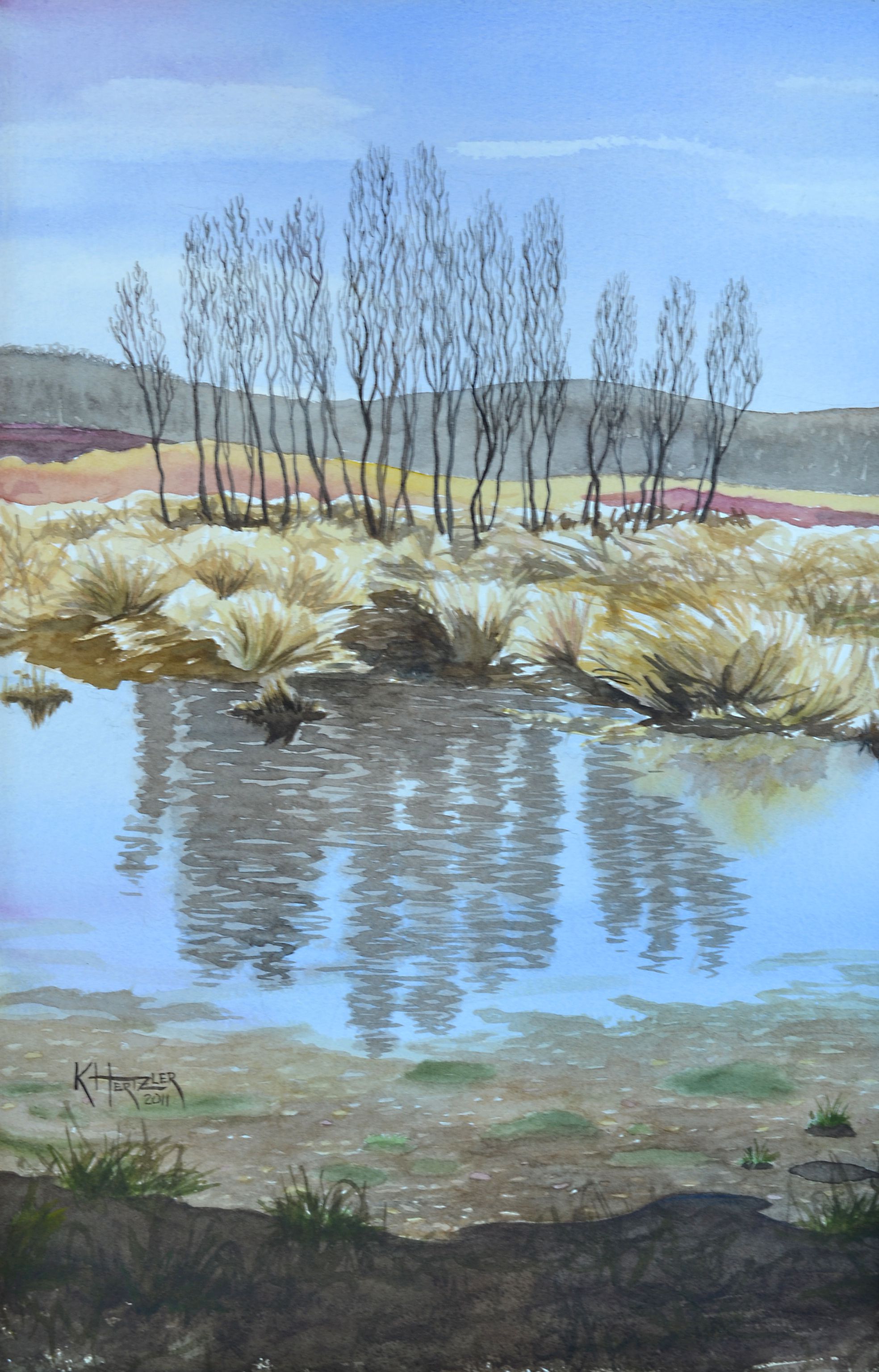 Hertzler - Vernal Pool Hertzler - Vernal Pool
