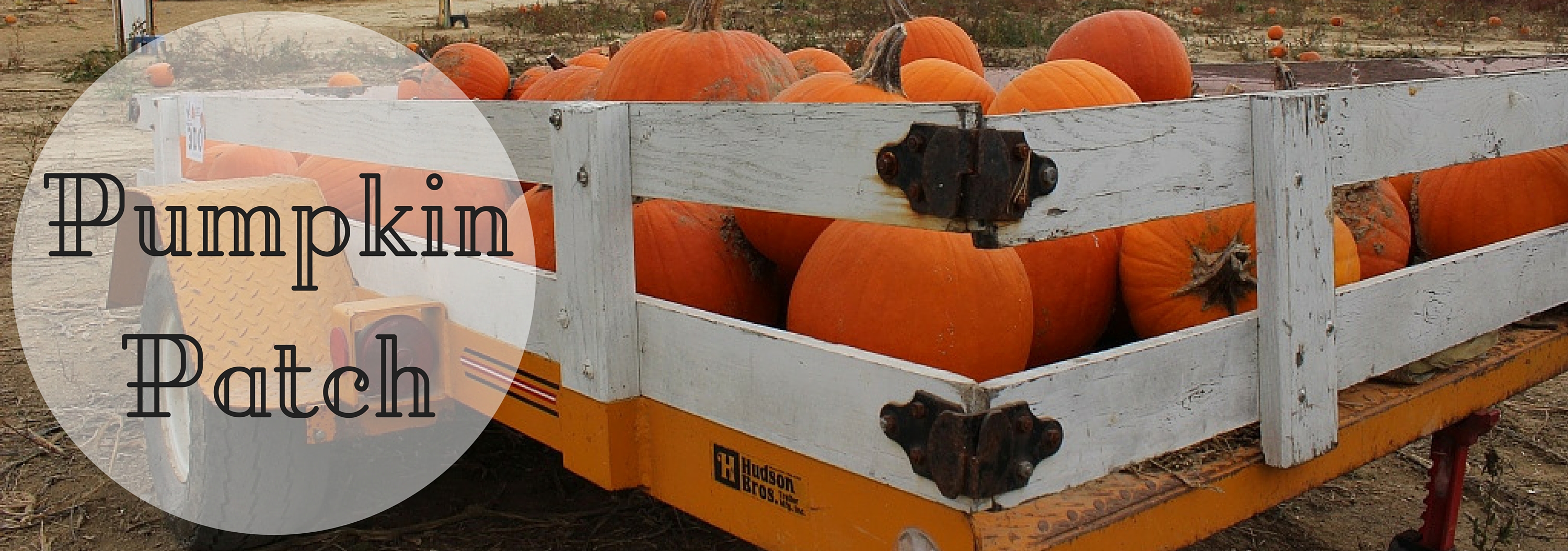 PumpkinPatch PumpkinPatch