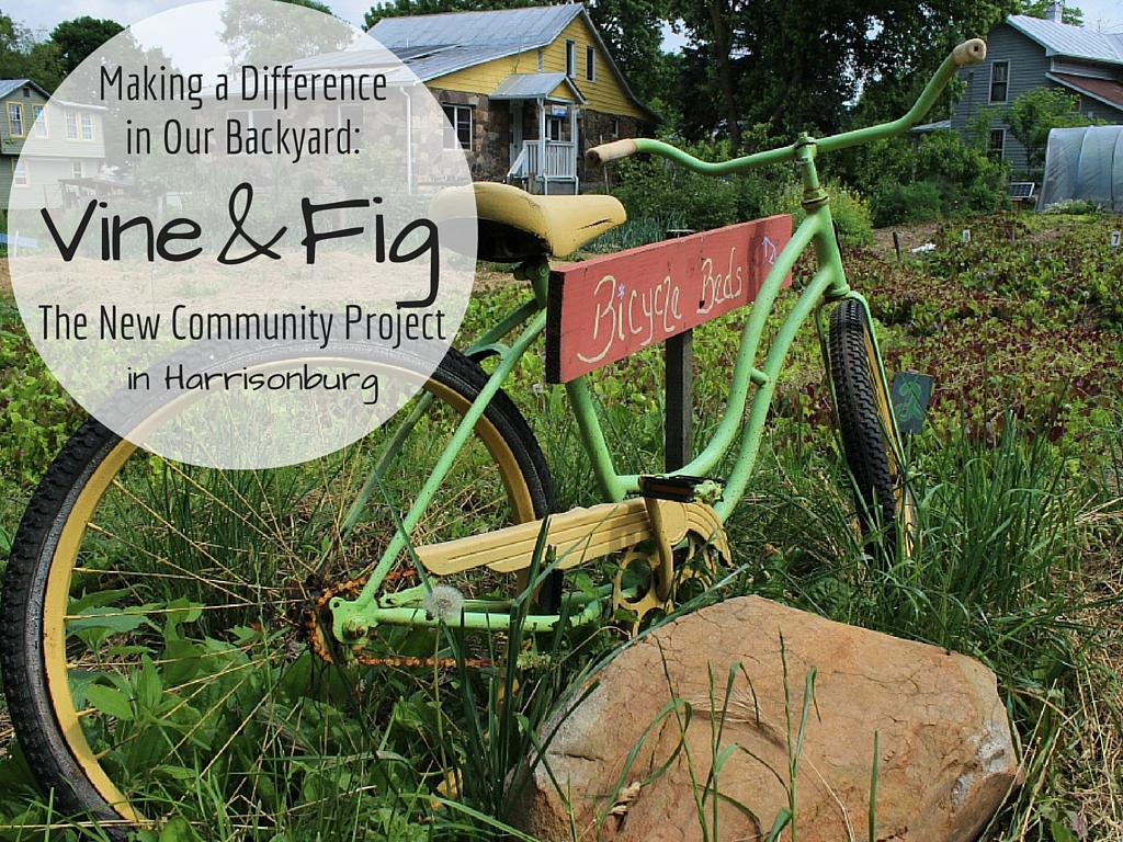 Vine & Fig | The New Community Project | Harrisonburg