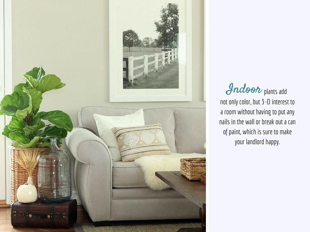 The Design Corner | How to Decorate a Rental The Design Corner | How to Decorate a Rental