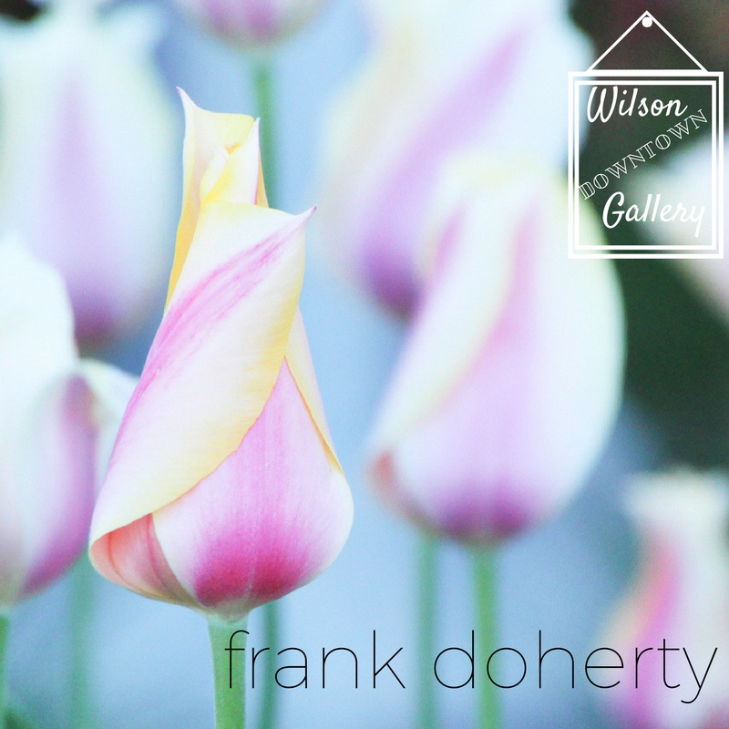 Wilson Downtown Gallery | Frank Doherty