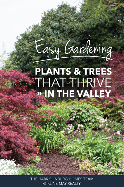 Easy Gardening