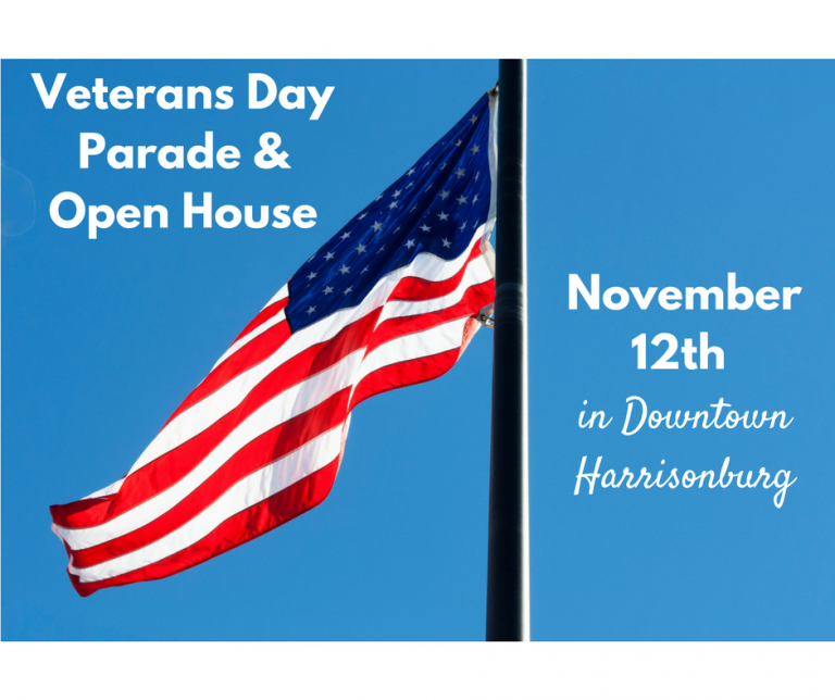 Veterans day parade in media pa