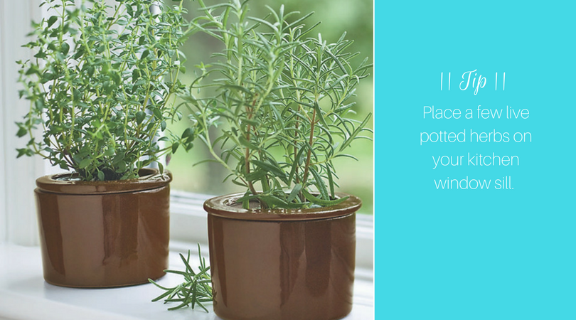 Plants Spring Cleaning | Harrisonblog.com Plants Spring Cleaning | Harrisonblog.com