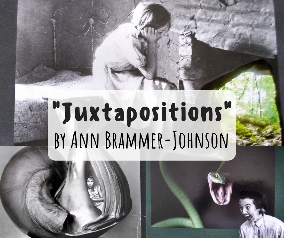 Ann Brammer Johnson | Wilson Downtown Gallery