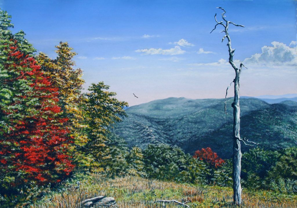 The-Naked-Tree