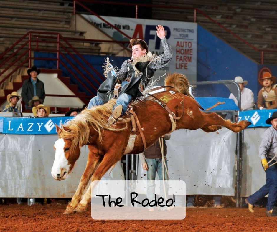 The Rodeo!
