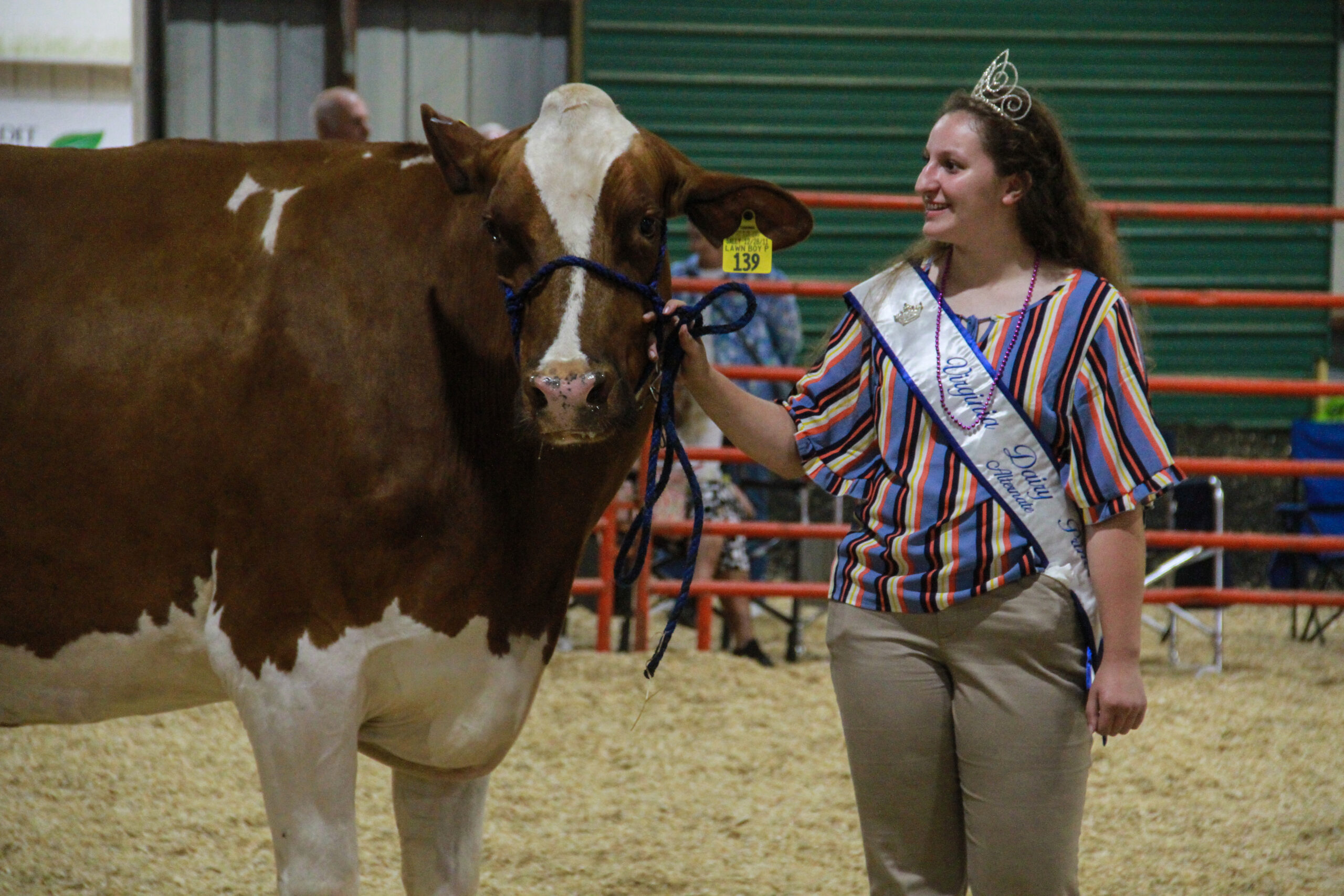 IMG_2664 livestock show