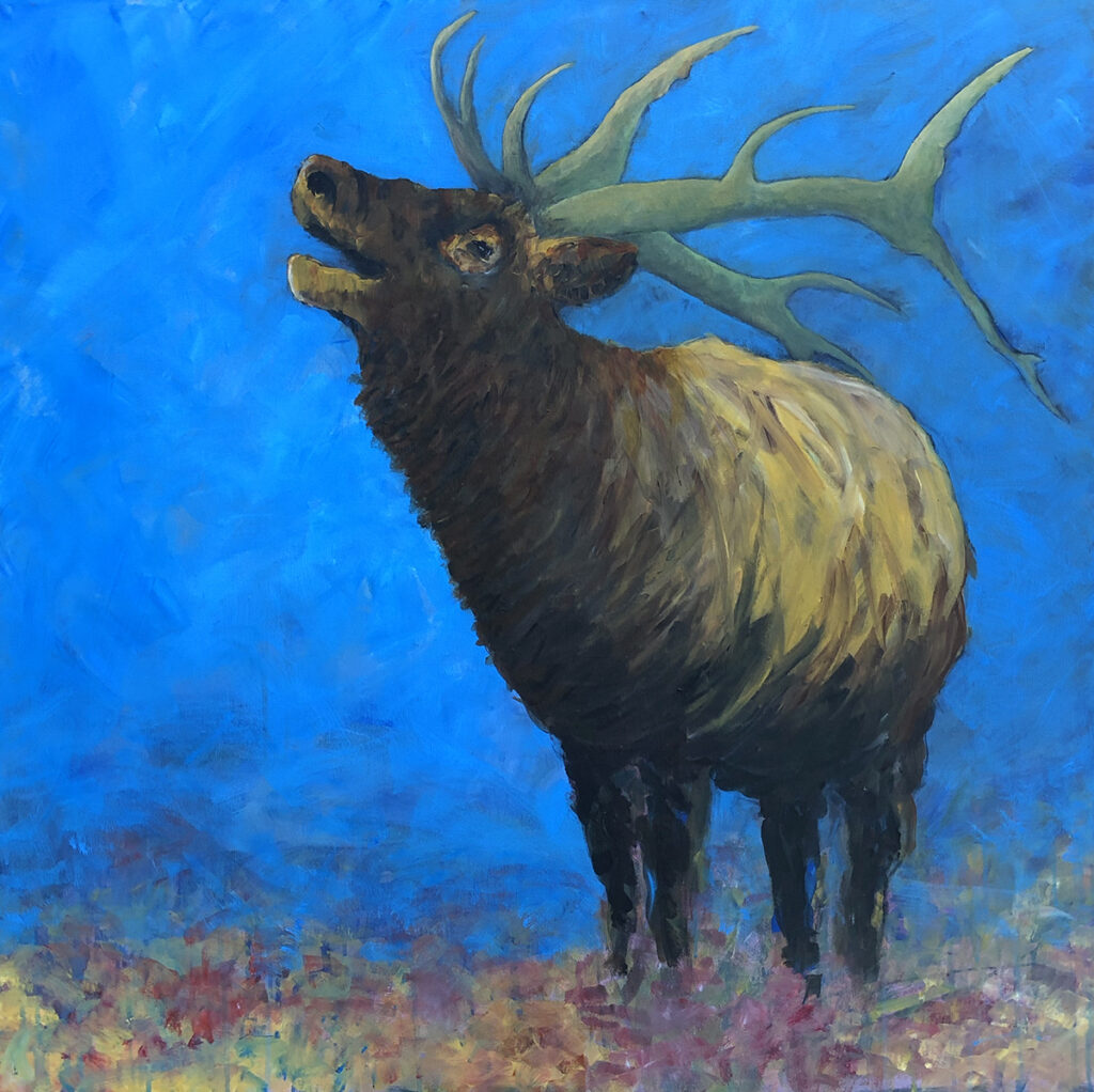 Maune_Elk